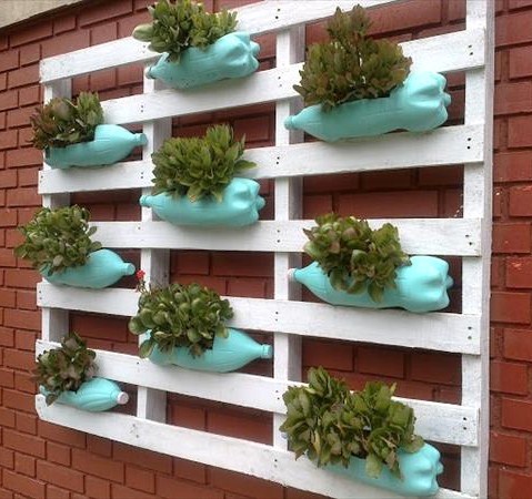 Jardinières en bouteille plastique, de la récup utile et économique ! Jardinières en bouteille plastique, de la récup utile et économique !