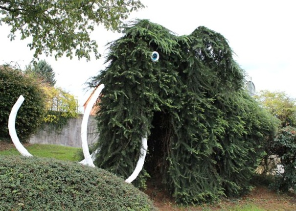 Au jardin on s'amuse à sculpter les végétaux