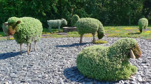 Au jardin on s'amuse à sculpter les végétaux