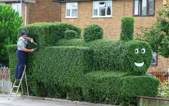 Au jardin on s'amuse à sculpter les végétaux