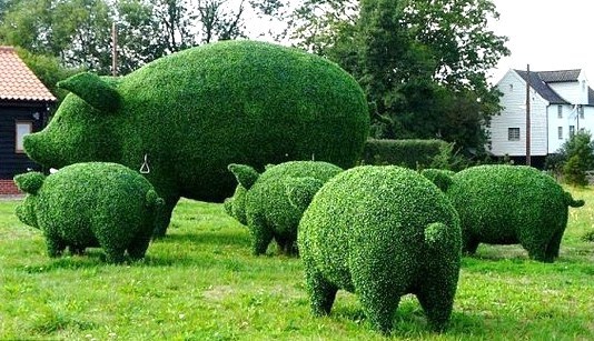 Au jardin on s'amuse à sculpter les végétaux Au jardin on s'amuse à sculpter les végétaux