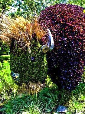 Au jardin on s'amuse à sculpter les végétaux Au jardin on s'amuse à sculpter les végétaux