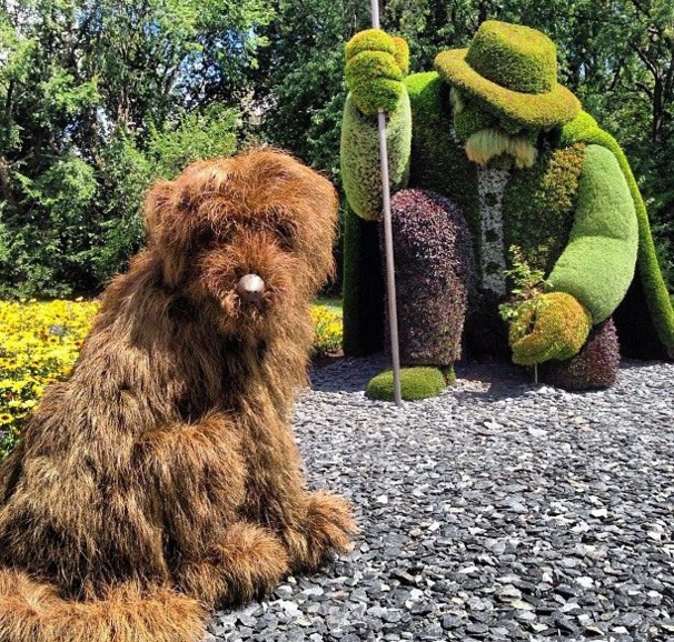 Au jardin on s'amuse à sculpter les végétaux