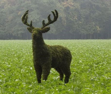 Au jardin on s'amuse à sculpter les végétaux Au jardin on s'amuse à sculpter les végétaux