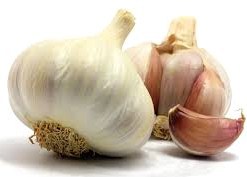 4 antibiotiques naturels à consommer contre les infections 4 antibiotiques naturels à consommer contre les infections