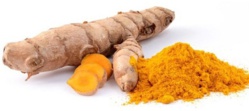 4 antibiotiques naturels à consommer contre les infections 4 antibiotiques naturels à consommer contre les infections