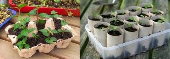 16 astuces pratiques et économiques pour vous faciliter la vie au jardin..