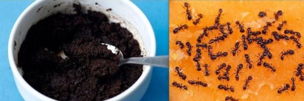 16 astuces pratiques et économiques pour vous faciliter la vie au jardin.. 16 astuces pratiques et économiques pour vous faciliter la vie au jardin..