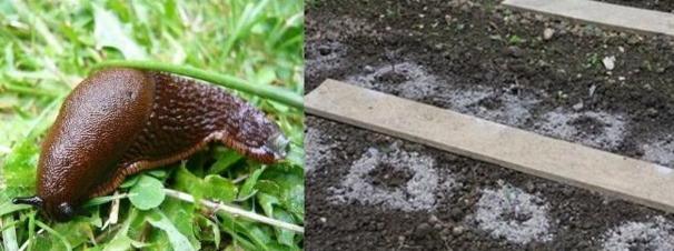 16 astuces pratiques et économiques pour vous faciliter la vie au jardin.. 16 astuces pratiques et économiques pour vous faciliter la vie au jardin..