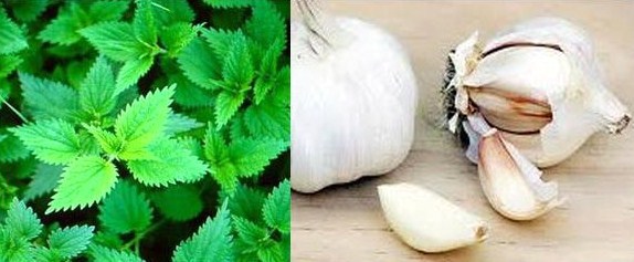 16 astuces pratiques et économiques pour vous faciliter la vie au jardin.. 16 astuces pratiques et économiques pour vous faciliter la vie au jardin..