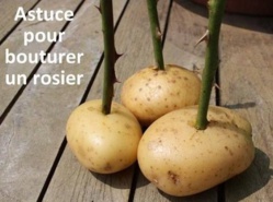 16 astuces pratiques et économiques pour vous faciliter la vie au jardin.. 16 astuces pratiques et économiques pour vous faciliter la vie au jardin..