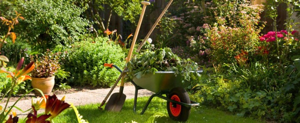 Le printemps est là : prenez soin de votre jardin ! Le printemps est là : prenez soin de votre jardin !