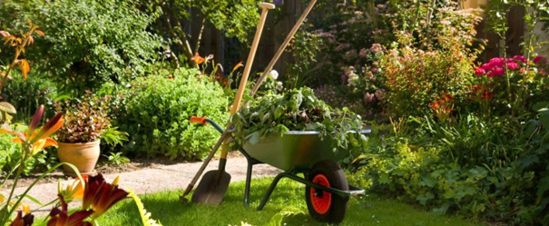 Le printemps est là : prenez soin de votre jardin !