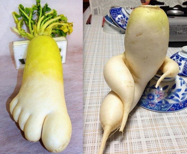 9 idées de LEGUMES INSOLITES  légumes, fruits amusants, insolite