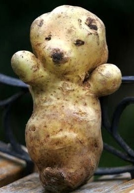 la patate nounours..