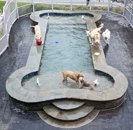 Piscines aux formes insolites et originales