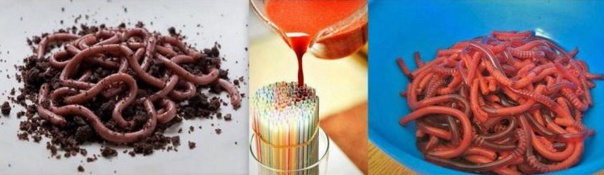 Idées de recettes pour halloween