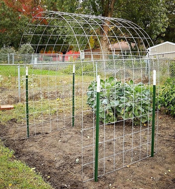 6 astuces pratiques pour le jardin