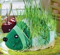 Tutoriels plantations têtes aux cheveux en herbe Tutoriels plantations têtes aux cheveux en herbe