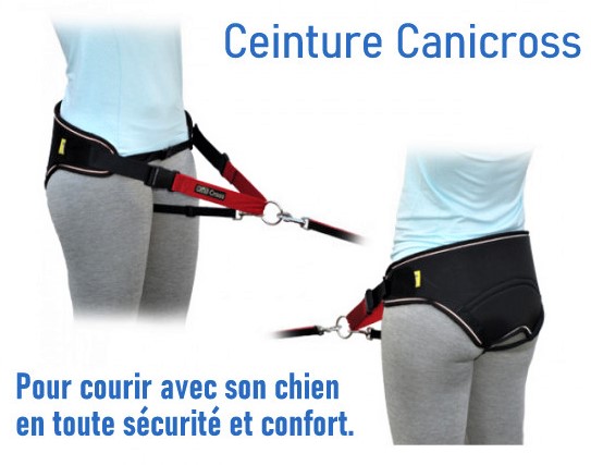 Tutoriel faire une ceinture canicross