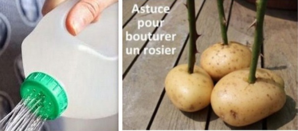 Astuces originales et insolites