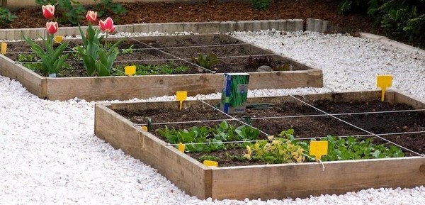 Faire son jardin ou son potager en carrés, des modèles, des tutoriels