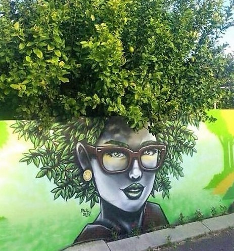 Superbes fresques murales végétalisées