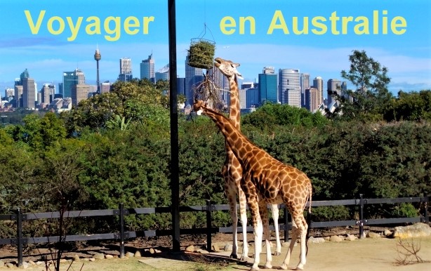 Voyager en Australie en famille : les sites touristiques à privilégier Voyager en Australie en famille : les sites touristiques à privilégier