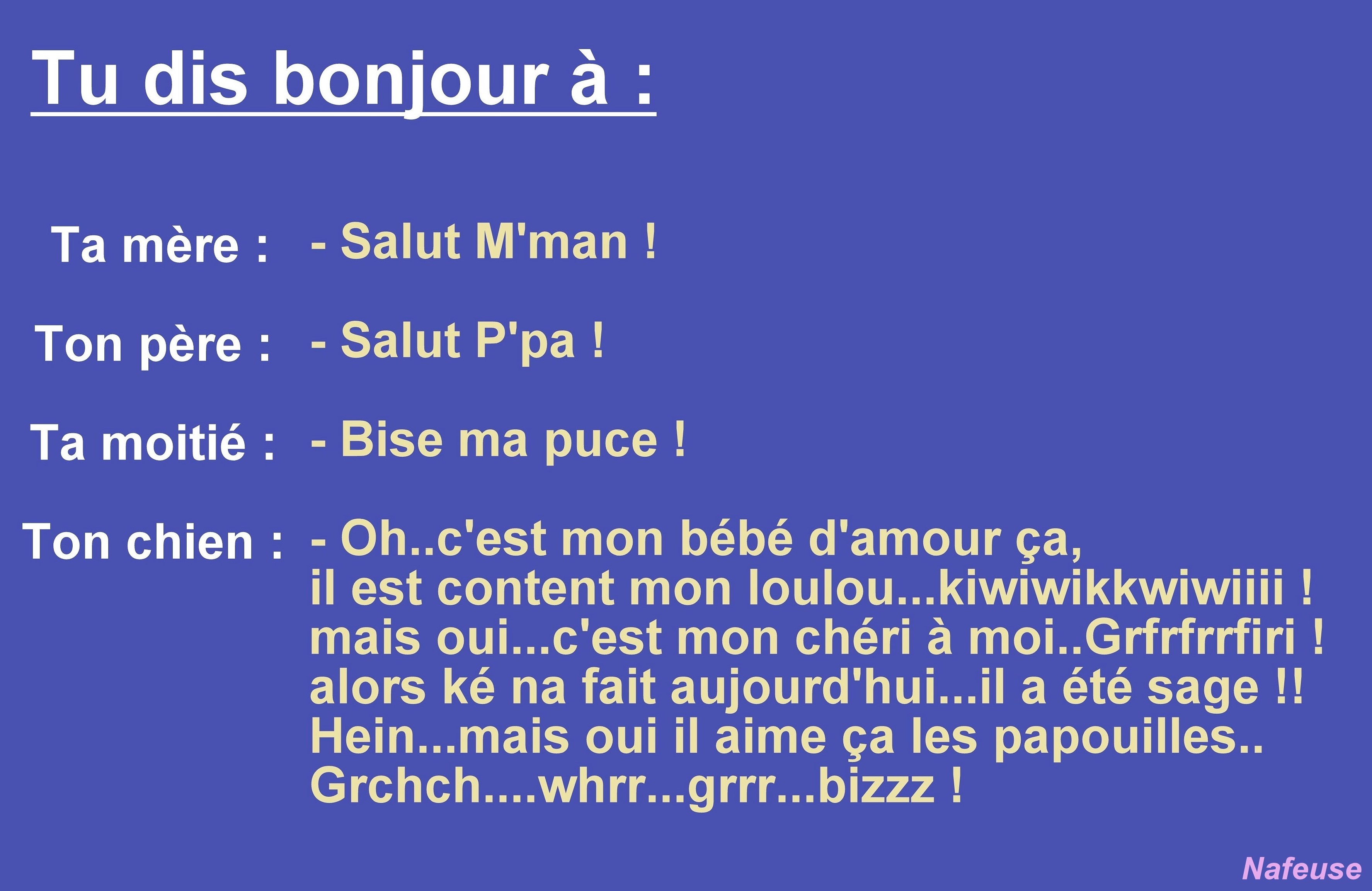 Citations et réflexions humoristiques Citations et réflexions humoristiques