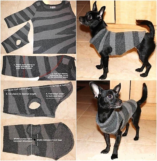 Astuces Faire Un Pull Pour Chien Astuces Faire Un Pull Pour Chien