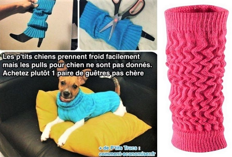 manteau pour chien fait main