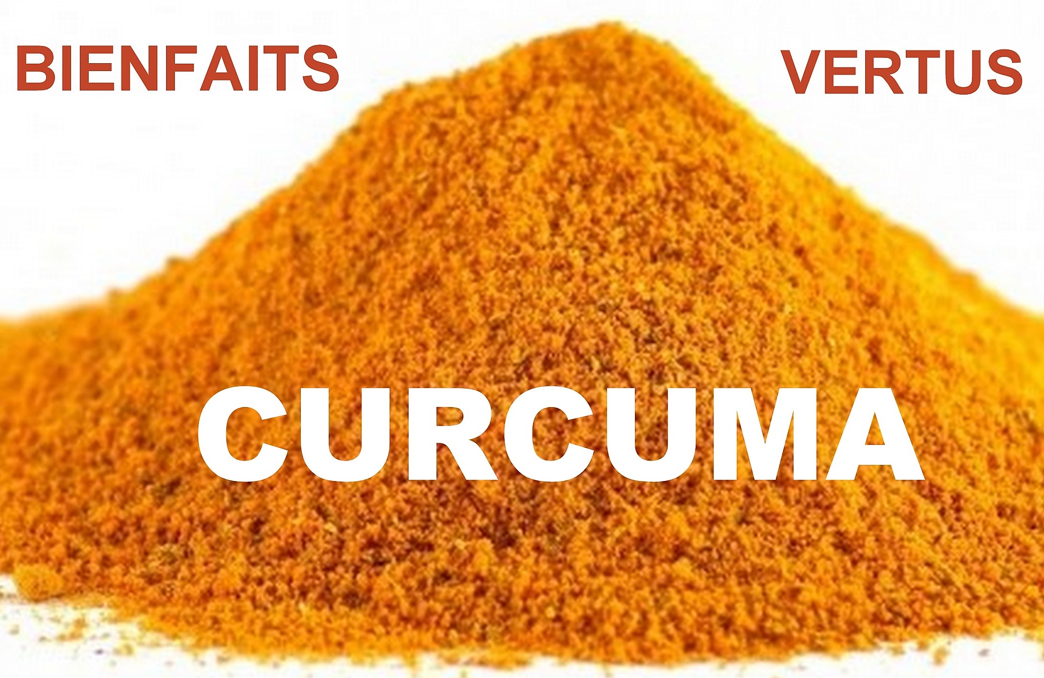Le Curcuma : antioxydant, anti-inflammatoire, anti-tumoral.