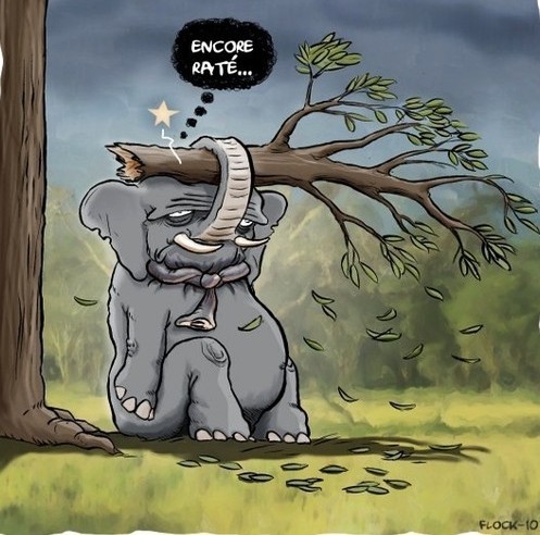 Eléphant ne supportant plus le poids de sa solitude..