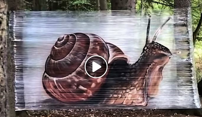 Peintures animalières géantes sur films plastique