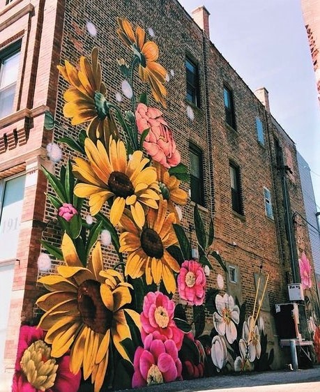 Street Art, l'art d'embellir la rue