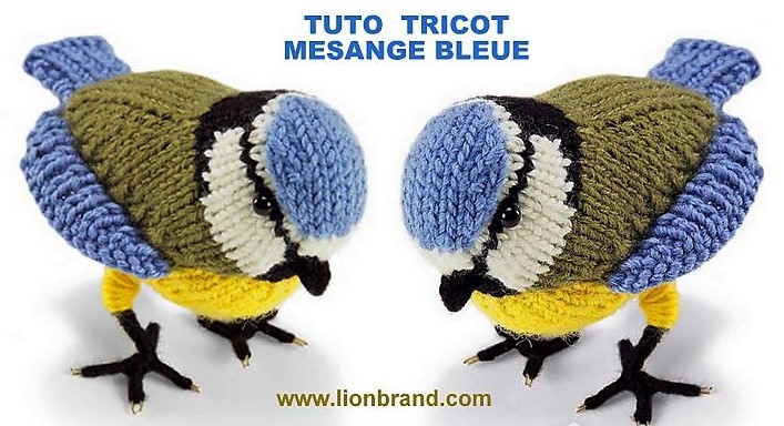 Tutoriel tricot mésange bleue