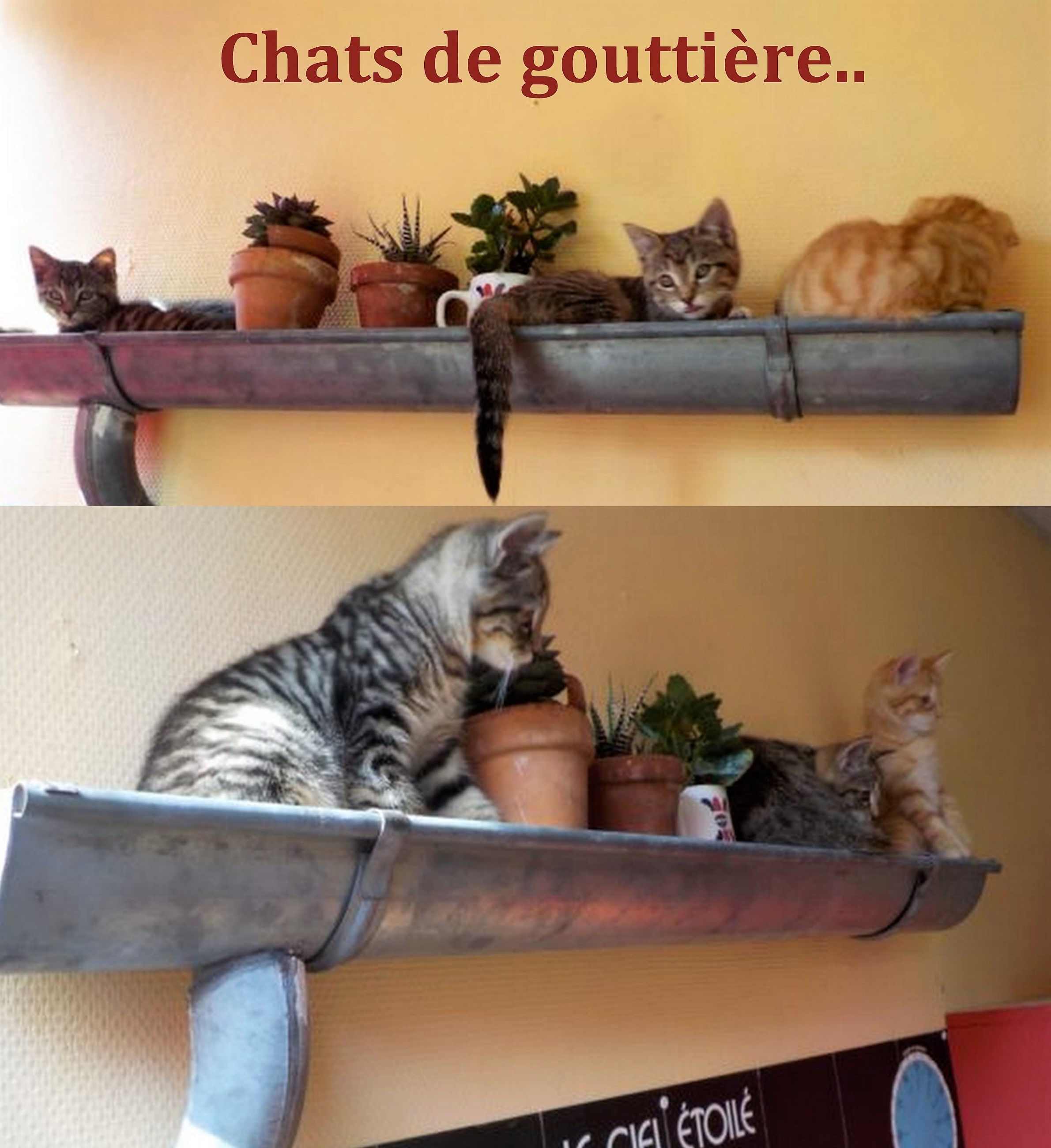 Recyclez vos gouttières en zinc