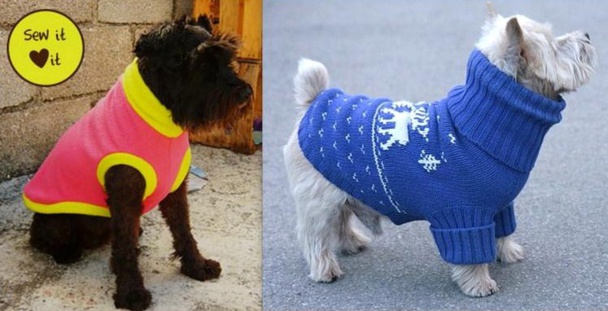 manteau pour chien au tricot gratuit