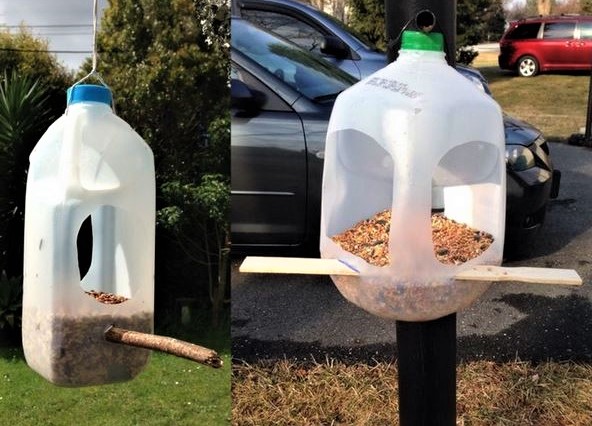 Faire une mangeoire et un nichoir pour oiseaux !