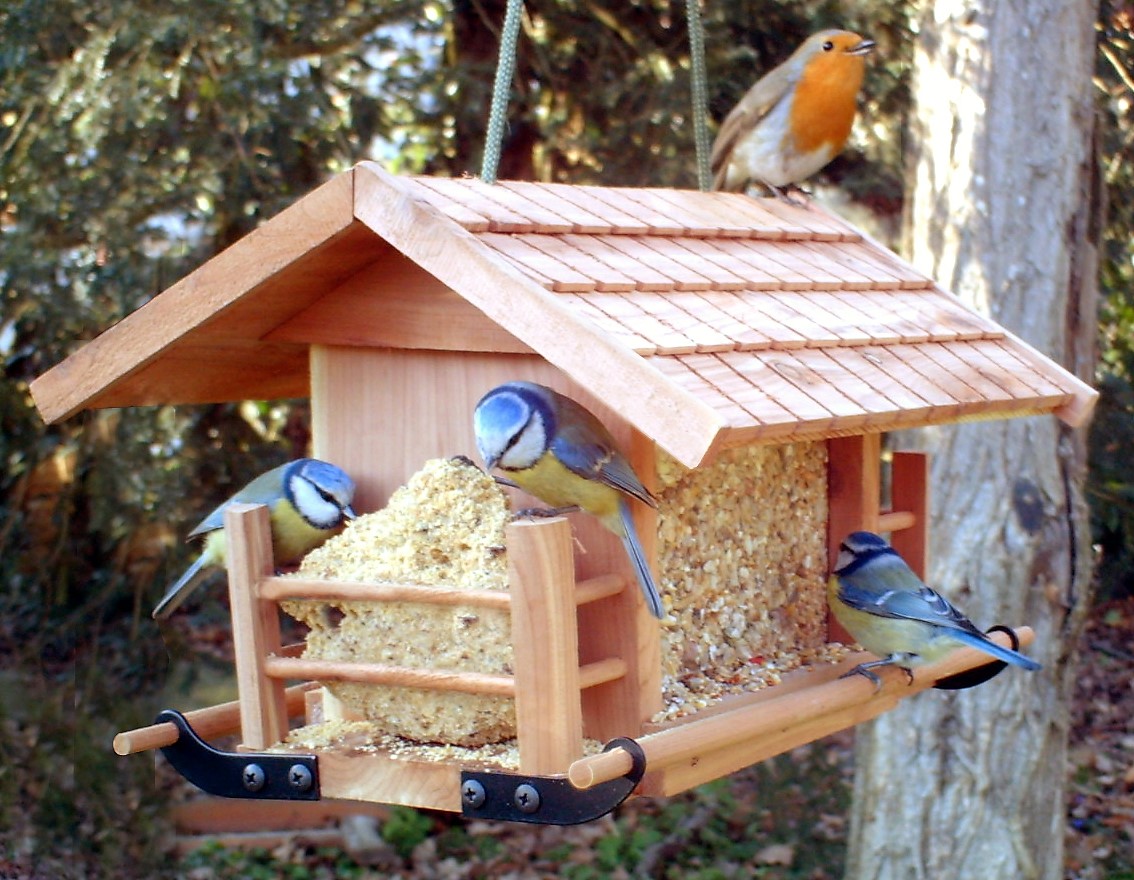 1 pièce En Plastique Mangeoire Pour Oiseaux , Extérieur Nichoir