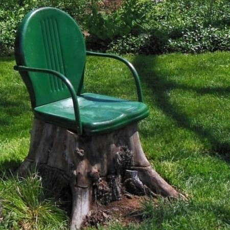 Idées recyclages et décorations souches d'arbres Idées recyclages et décorations souches d'arbres