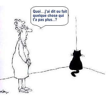 Chat qui fait la tête..  !
