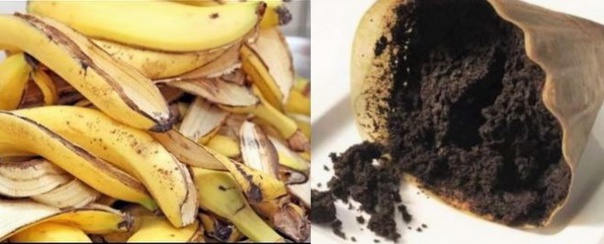 Les astuces naturelles du marc de café Les astuces naturelles du marc de café