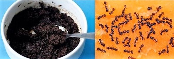 Les astuces naturelles du marc de café Les astuces naturelles du marc de café