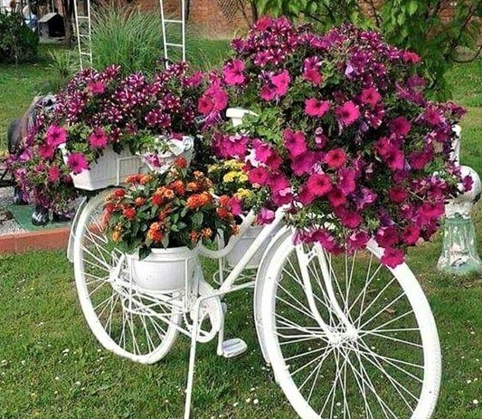 Les vélos fleuris au jardin !