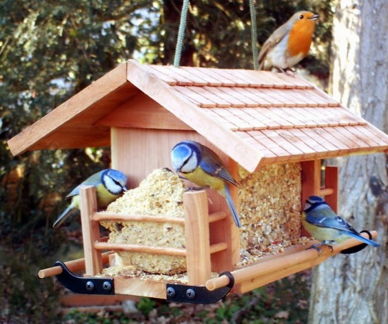 Nichoirs à oiseaux à faire pour le jardin !