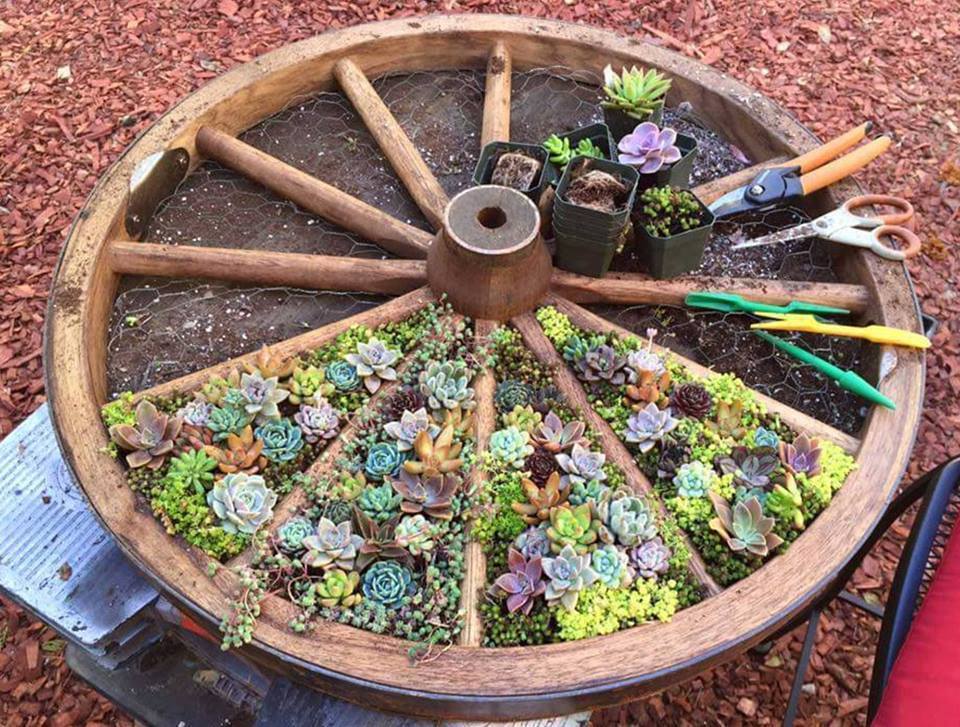De la Récup créative au jardin !