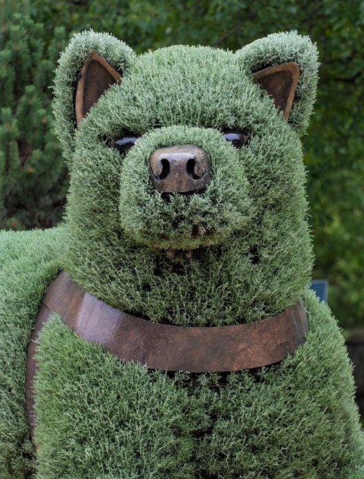 Sculptures végétales animales