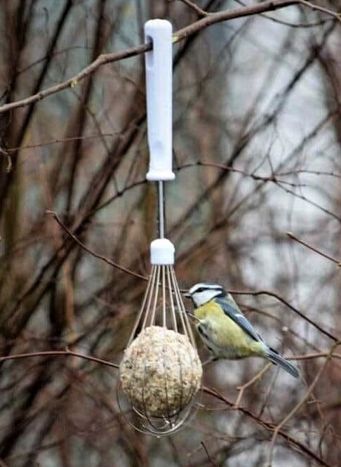 Comment nourrir les oiseaux pendant l'hiver