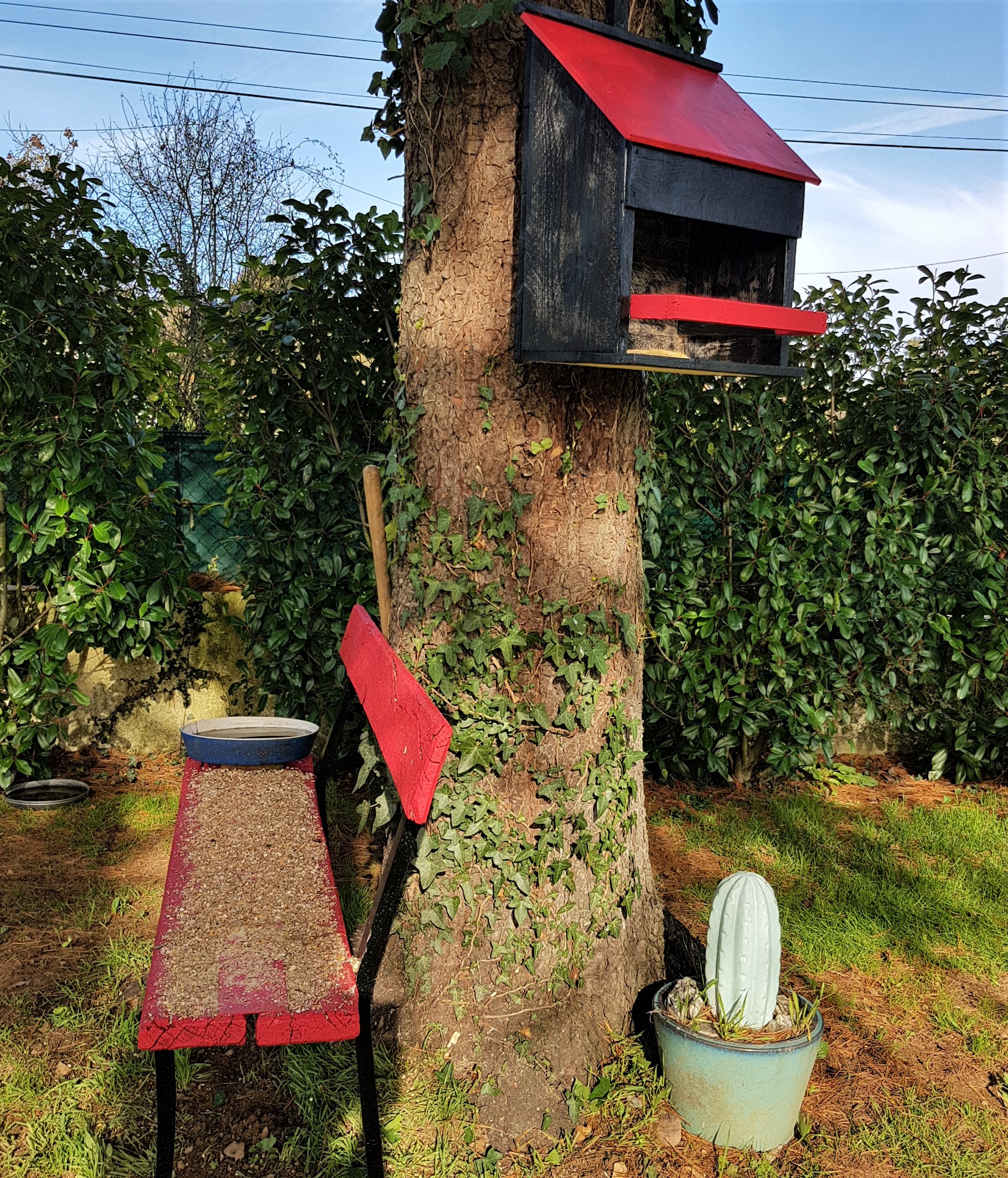Mangeoire pour nourrir les oiseaux